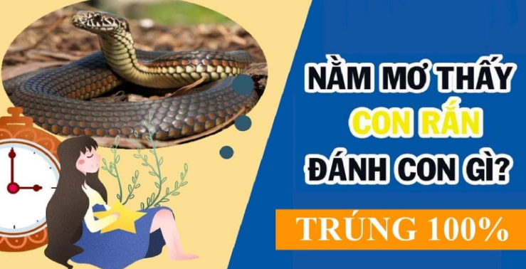 Mơ thấy con rắn lên đánh số gì tại Zbet