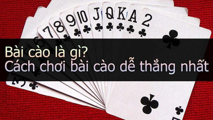 Học hỏi từ kinh nghiệm của các cao thủ tại Zbet